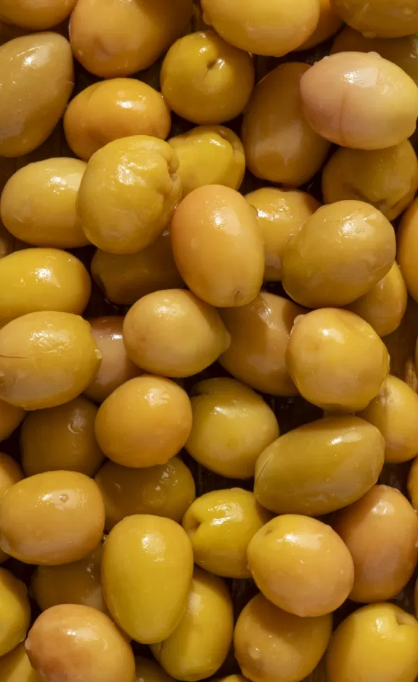 Yeşil Zeytin