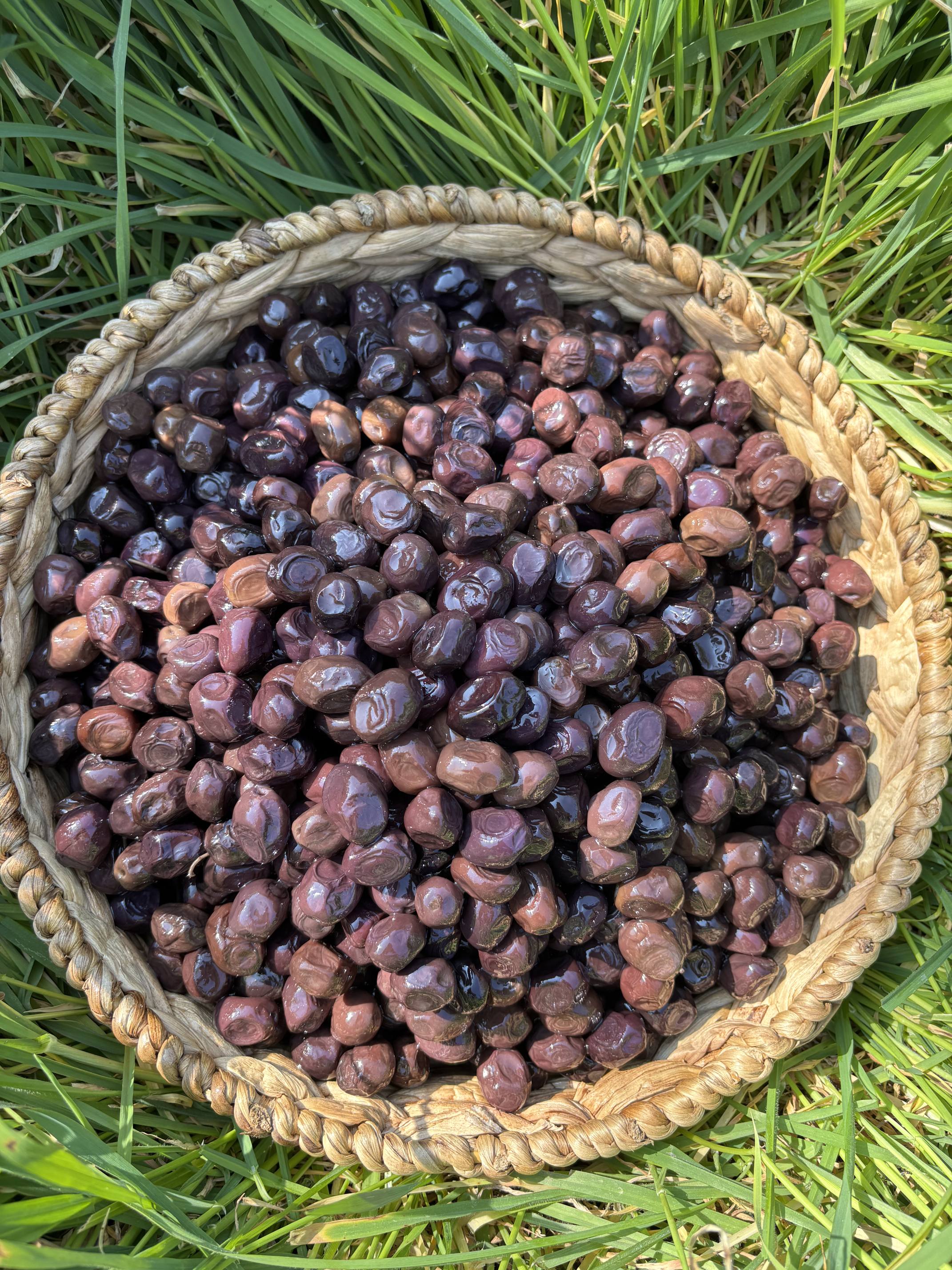 Taş Baskı(201-260) - 10 KG