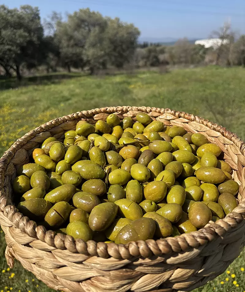 Gedikoğlu İri Boy Kalamata Kırma Yeşil Zeytin (101-130 Kalibre) 