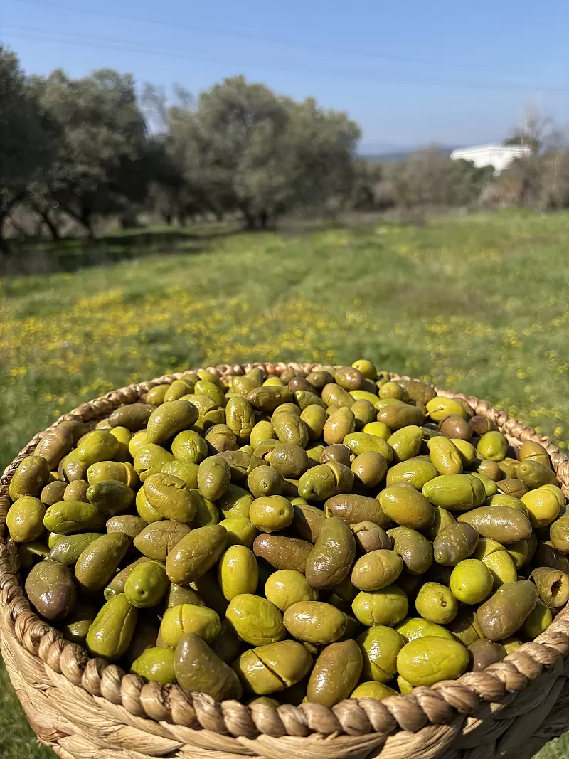 Gedikoğlu Naturel Kırma Yeşil Zeytin (161-180 Kalibre) 