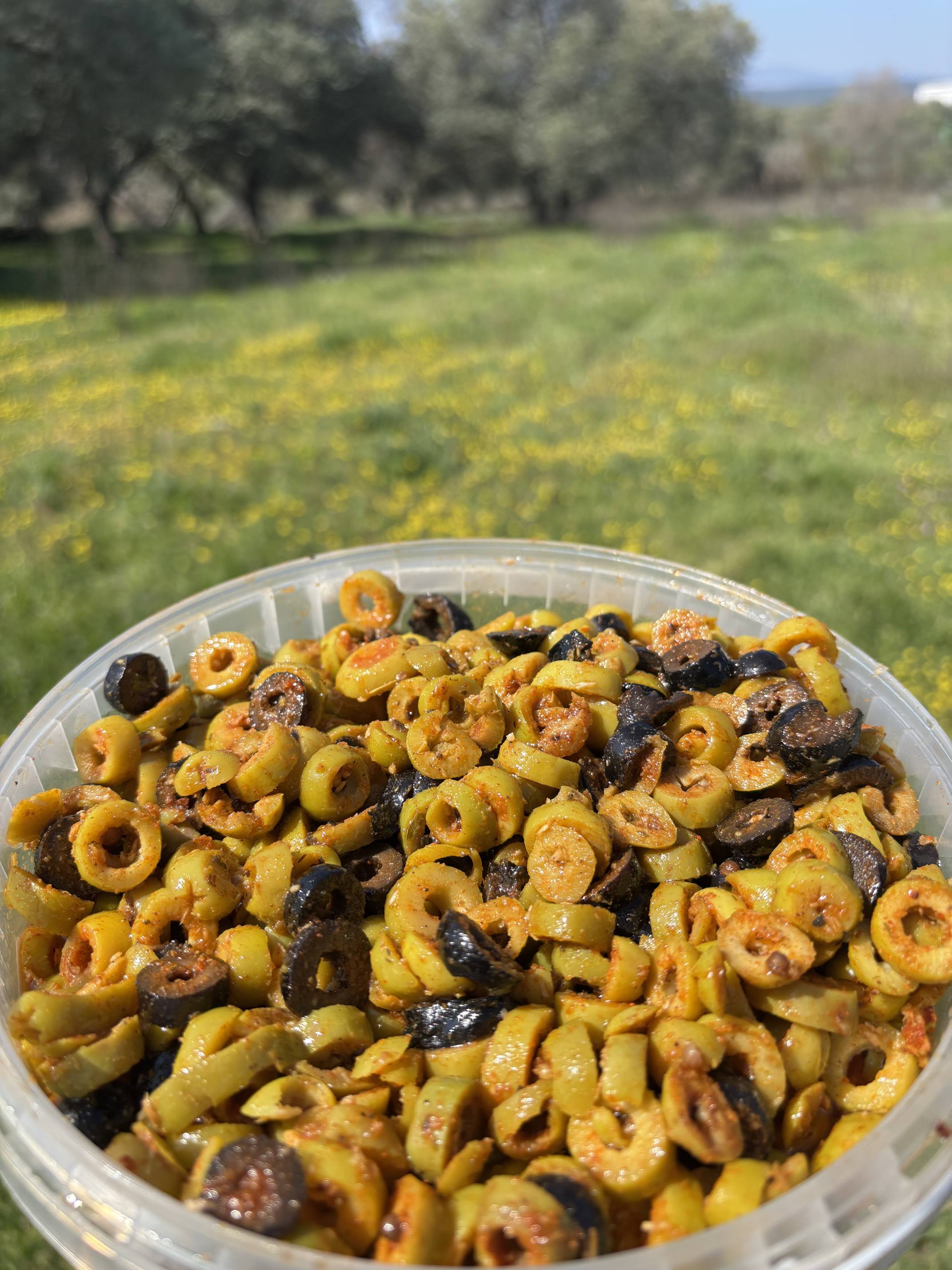 Gedikoğlu Kurutulmuş Domatesli ve Baharatlı Zeytin Salatası 3 KG