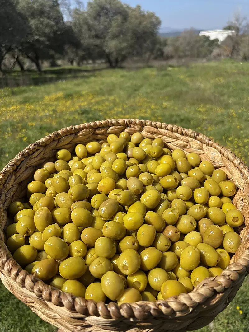 Gedikoğlu Doğal Limon Dolgulu Yeşil Zeytin (181-200) 2XL