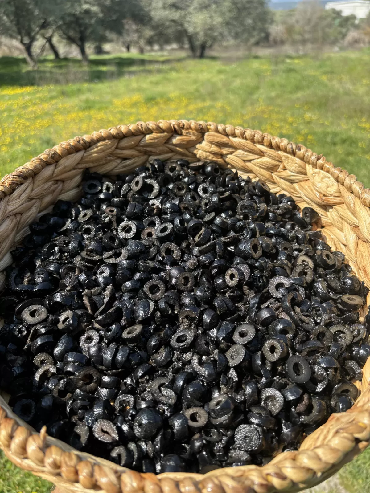 Gedikoğlu Siyah Dilimli Zeytin 7 KG