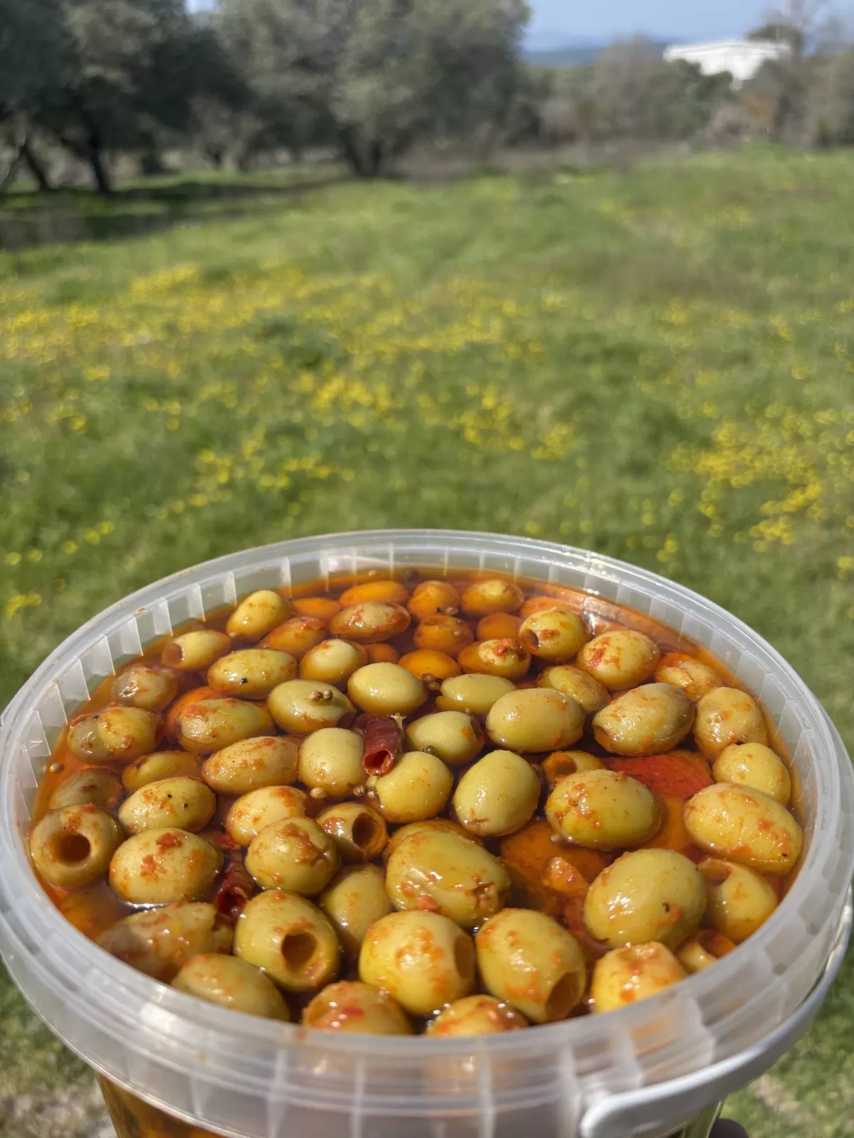 Gedikoğlu Acı Kaşık - Atom Biberli Yağlı Yeşil Zeytin 3 KG