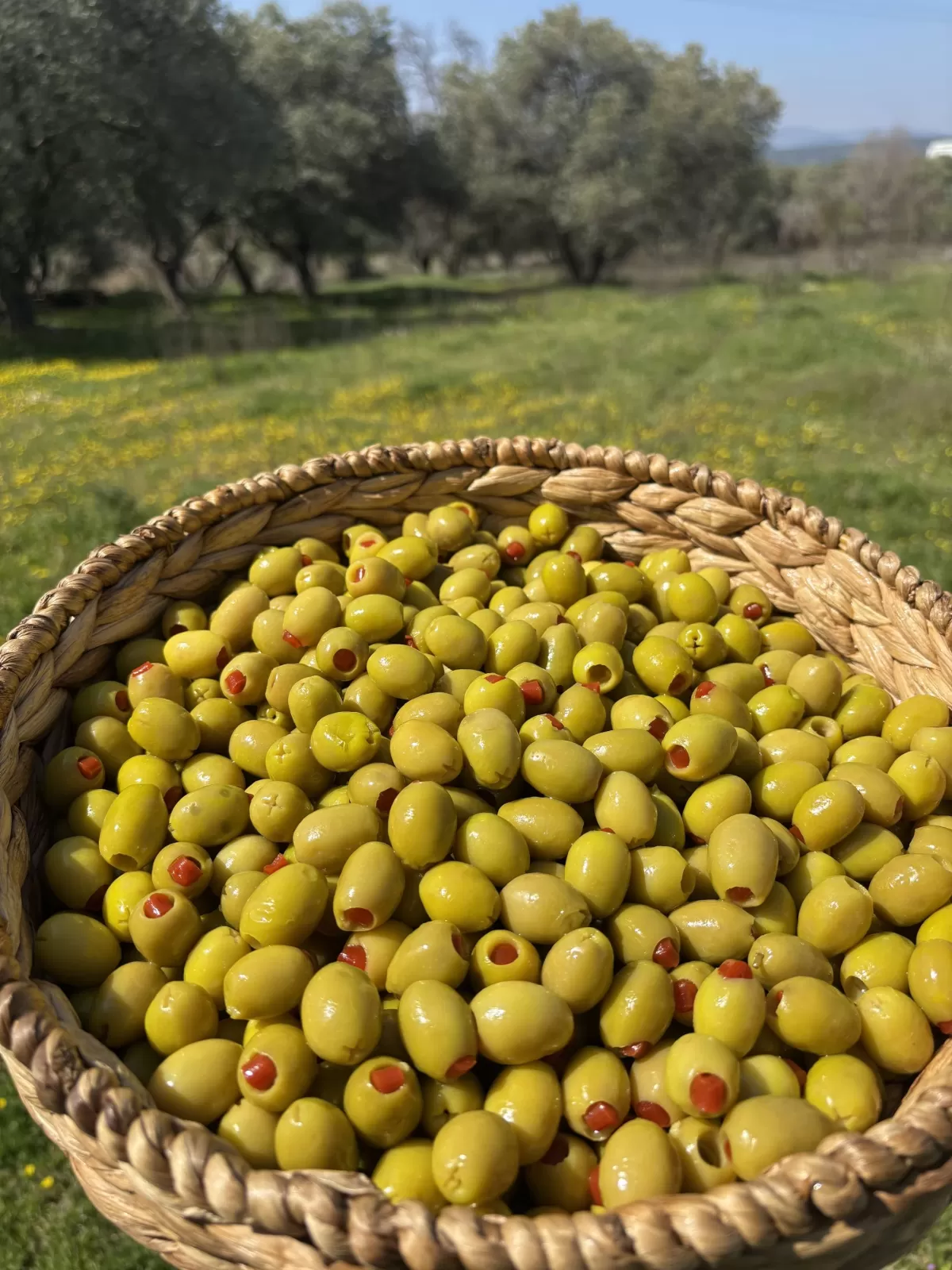 Biber Dolgulu Yeşil Zeytin 10 KG