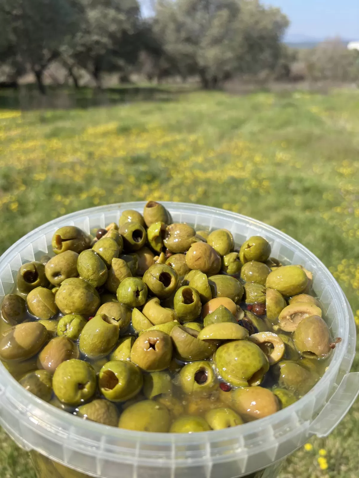 Gedikoğlu Doğal Fermente Çekirdeksiz Yeşil Zeytin 3 KG